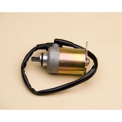 Starting Motor Ass'Y