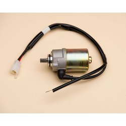 Starting Motor Ass'Y