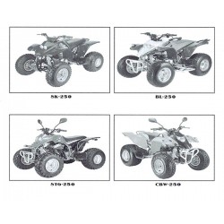 Service Manual 250cc