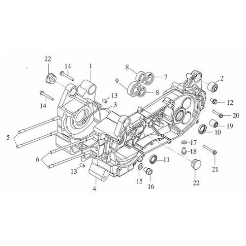 Crankcase (Adly ATV 150S Interceptor)