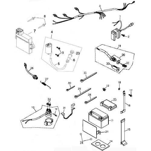 Battery and Main Warness (Adly ATV 220S)