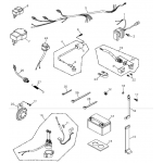 Battery and Wire Harness