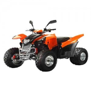 Adly ATV 320 Canyon LOF Ab Bj. 17 Variomatik CVT Ersatzteile - View #2