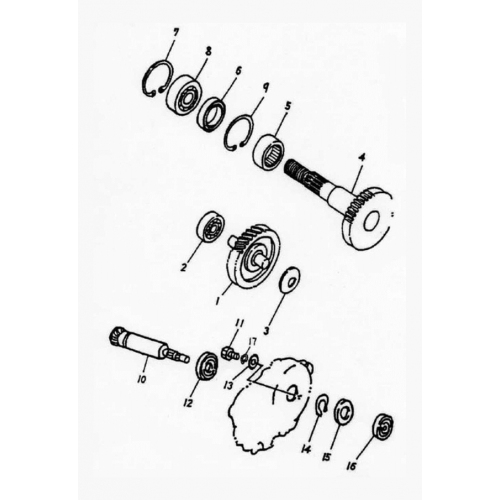 Transmission Transmission