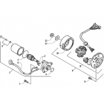 Magneto | Starter Motor