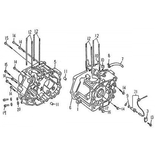 Crankcase (Barossa Silverhawk 250)