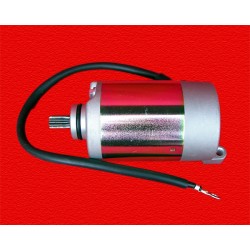 Go-kart 250 Starter Motor