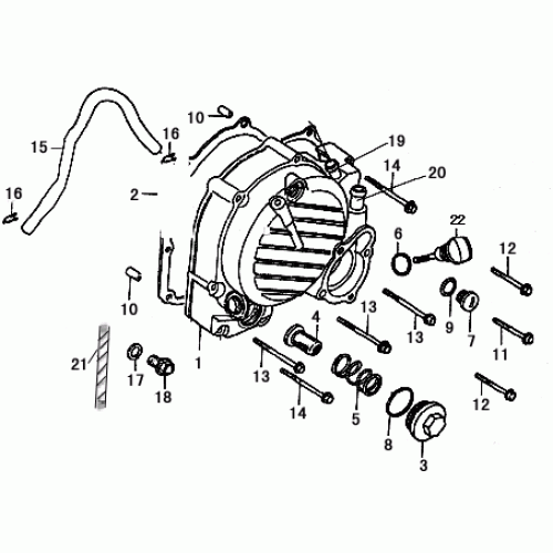 Right Crankcase Cover (Dazon Raider 250 Engine 2006+)